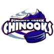 Pincher Creek Hockey Association